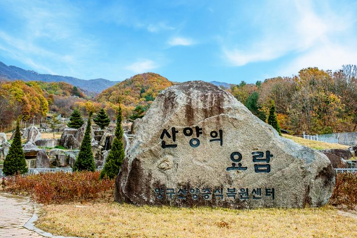 산양·사향노루증식복원센터.jpg