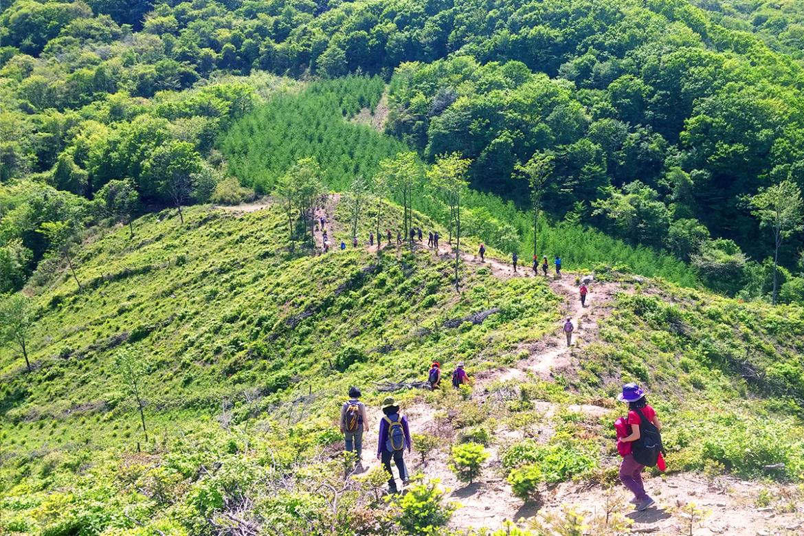 DMZ 펀치볼 둘레길.jpg