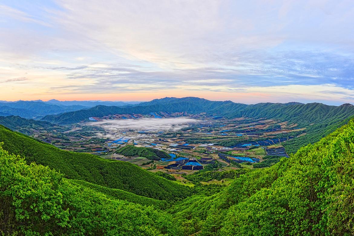 펀치볼.jpg