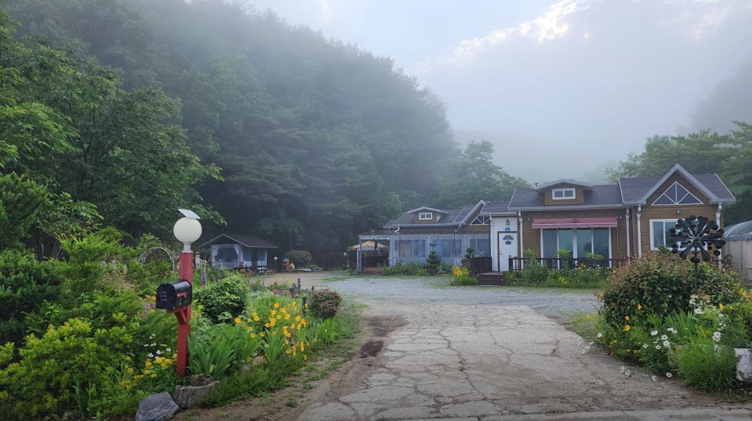 화면 캡처 2025-07-11 105228.png.jpg