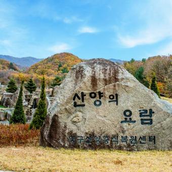 산양·사향노루증식복원센터