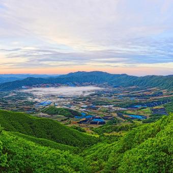 펀치볼