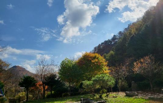 양구"佳" 가