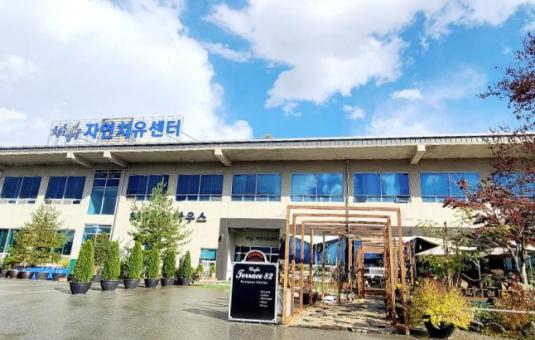 청춘양구자연치유센터(카페 테라스82)